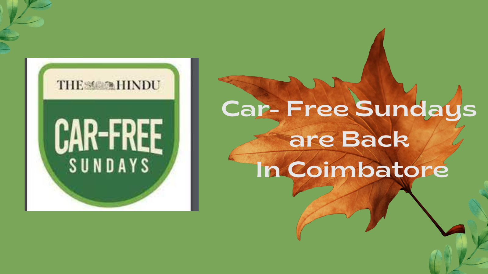 the-hindu-car-free-sundays-are-back-in-race-course-coimbatore