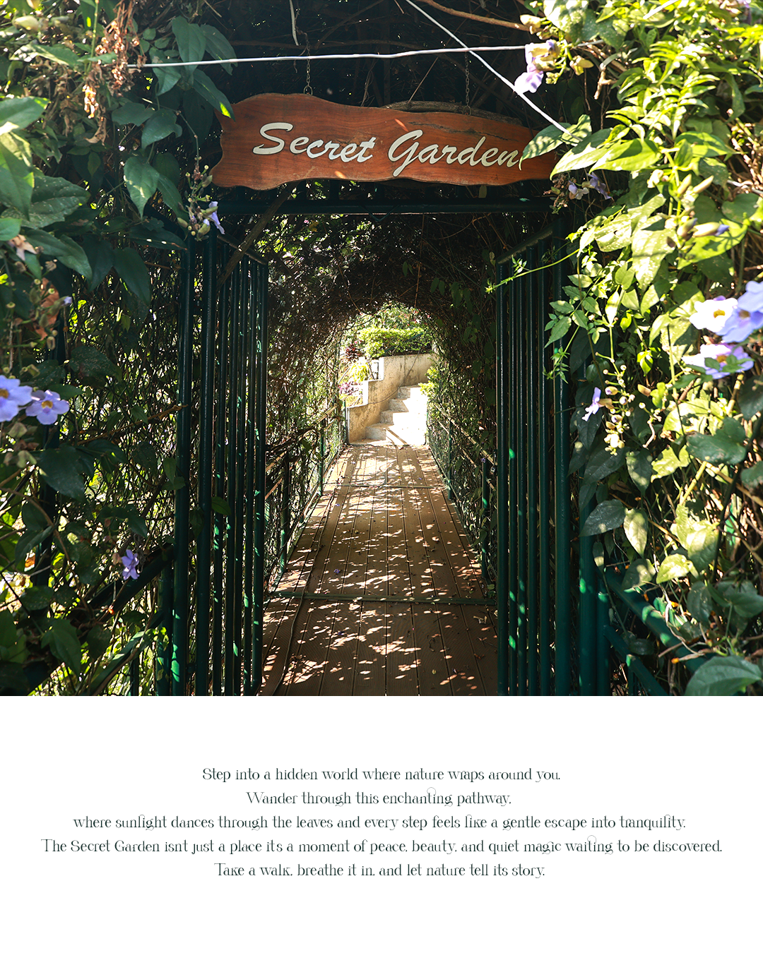 Munnar Misty mountain resort